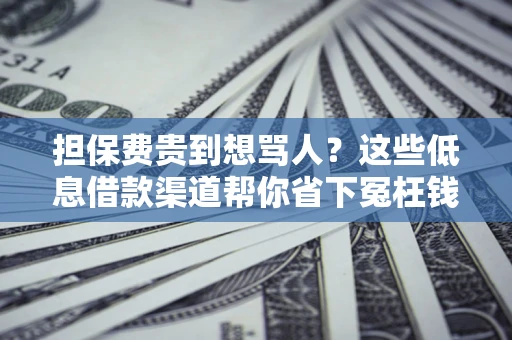 北京担保费贵到想骂人？这些低息借款渠道帮你省下冤枉钱