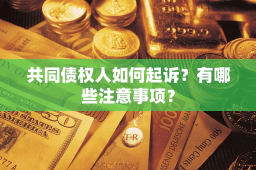 北京共同债权人如何起诉？有哪些注意事项？